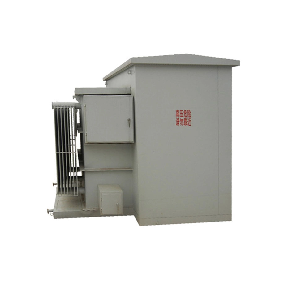 প্যাডমাউন্টেড ট্রান্সফরমার 100 Kva 13.8 Kv