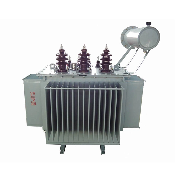 S11 100 Kva 6.3kv 400v তেল ভর্তি ট্রান্সফরমার S11 100 Kva 6.3kv 400v তেল ভর্তি ট্রান্সফরমার